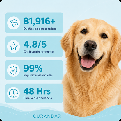 Fuente de agua Curandar para perros de 2.2 L