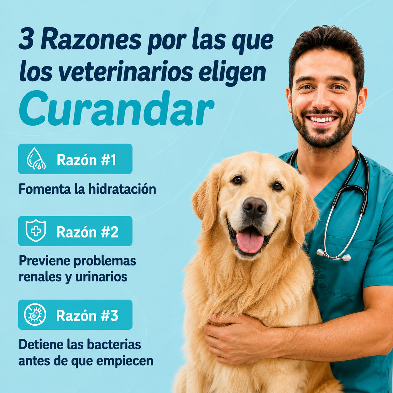 Fuente de agua Curandar para perros de 2.2 L