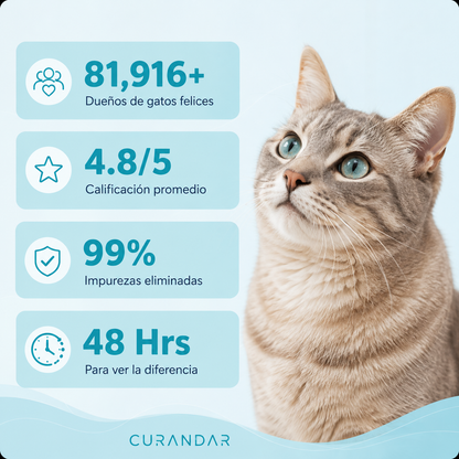Fuente de agua para gatos Curandar 2.2L